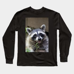 Smiling Raccoon! Long Sleeve T-Shirt